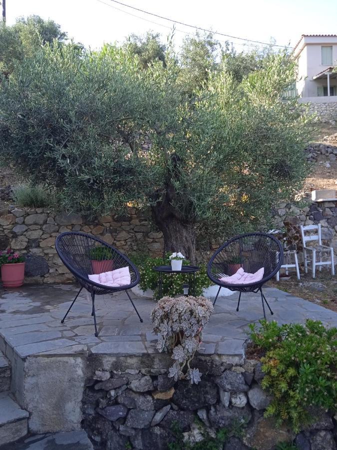 Marianna Studios Agios Petros  Dış mekan fotoğraf